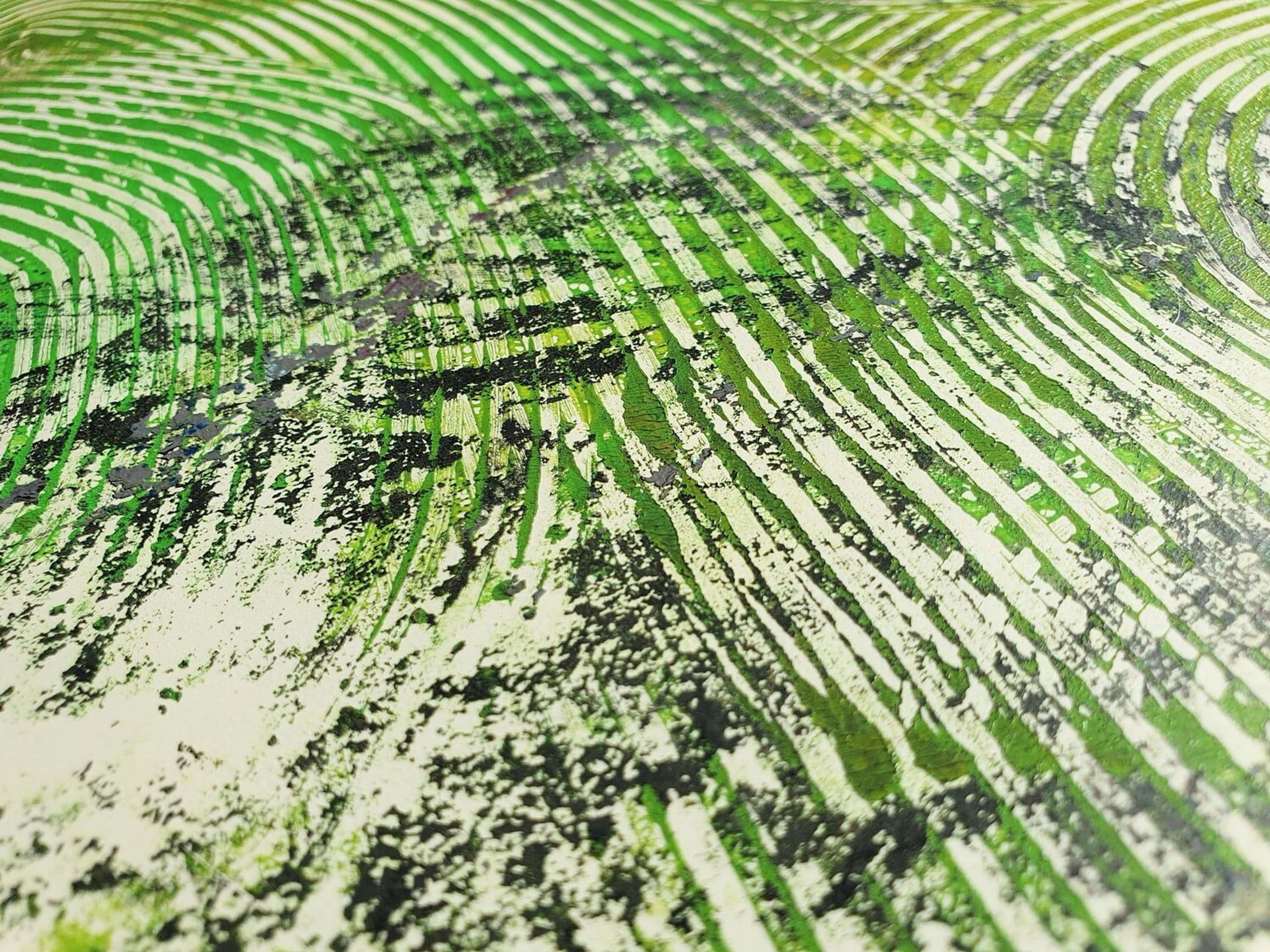 Natürliche Harmonie — Ansicht 8