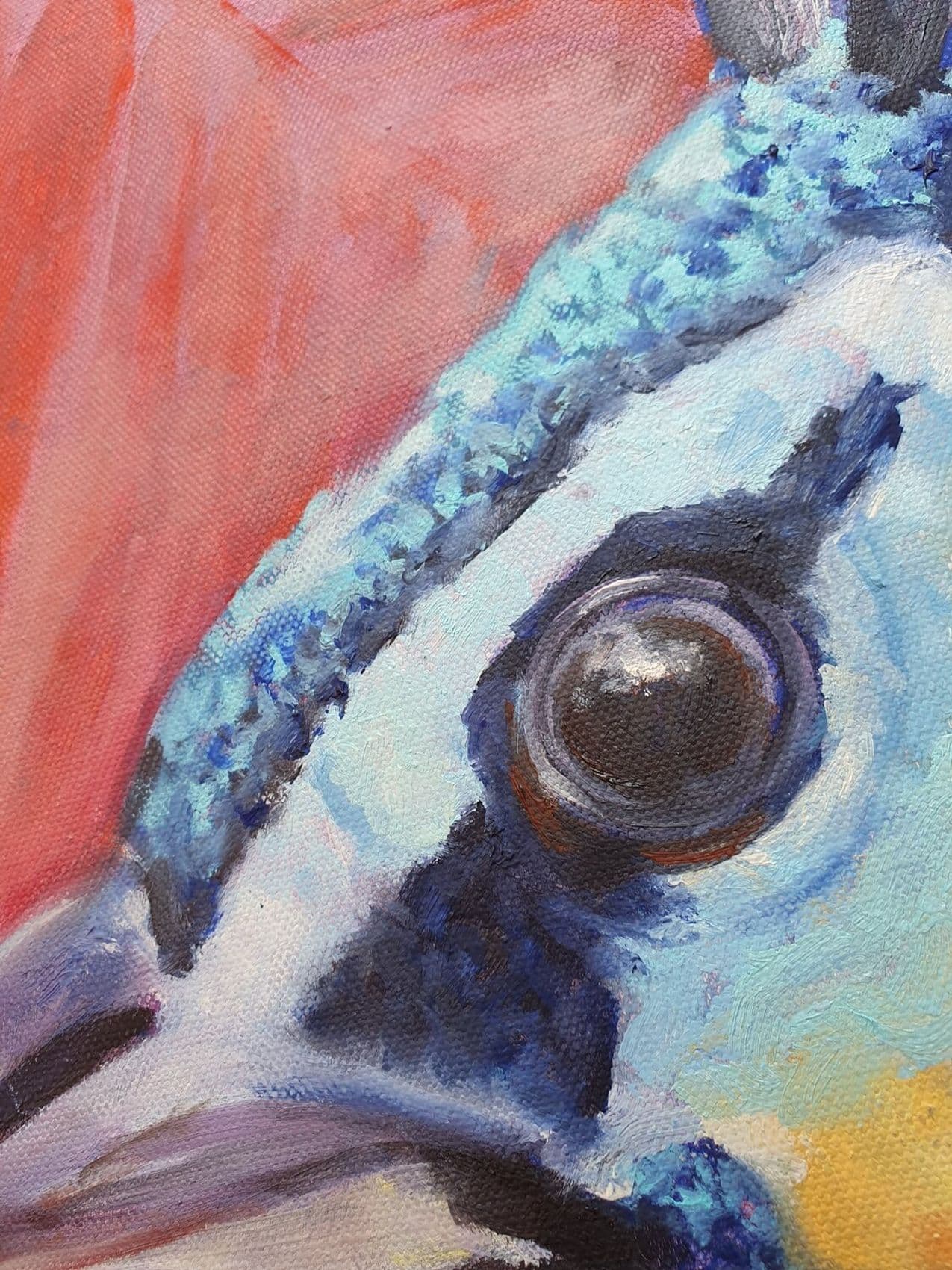 Pfau im Palmenfächer — Ansicht 8