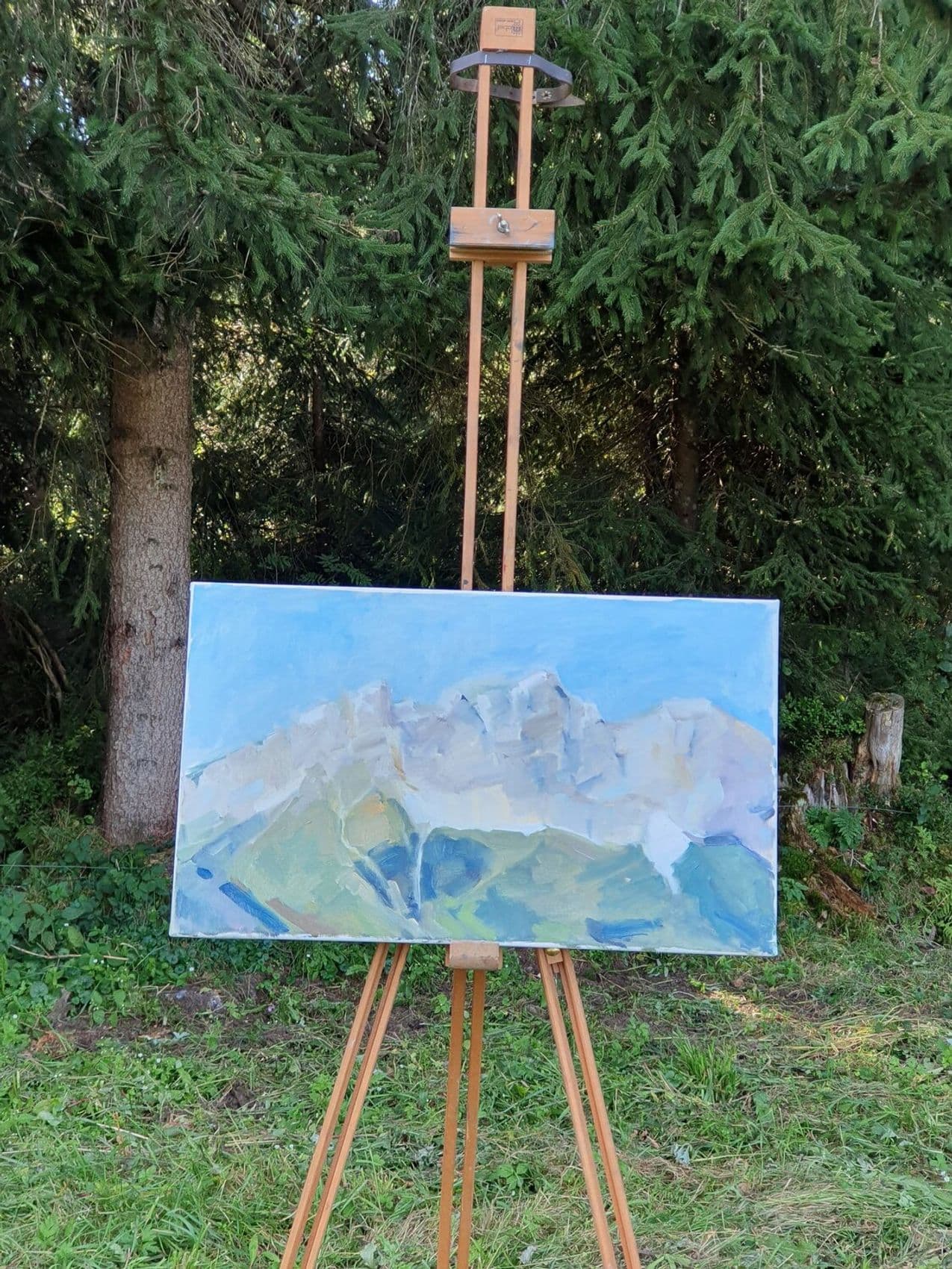 "Wilde Kaiser" Etüde — Ansicht 7
