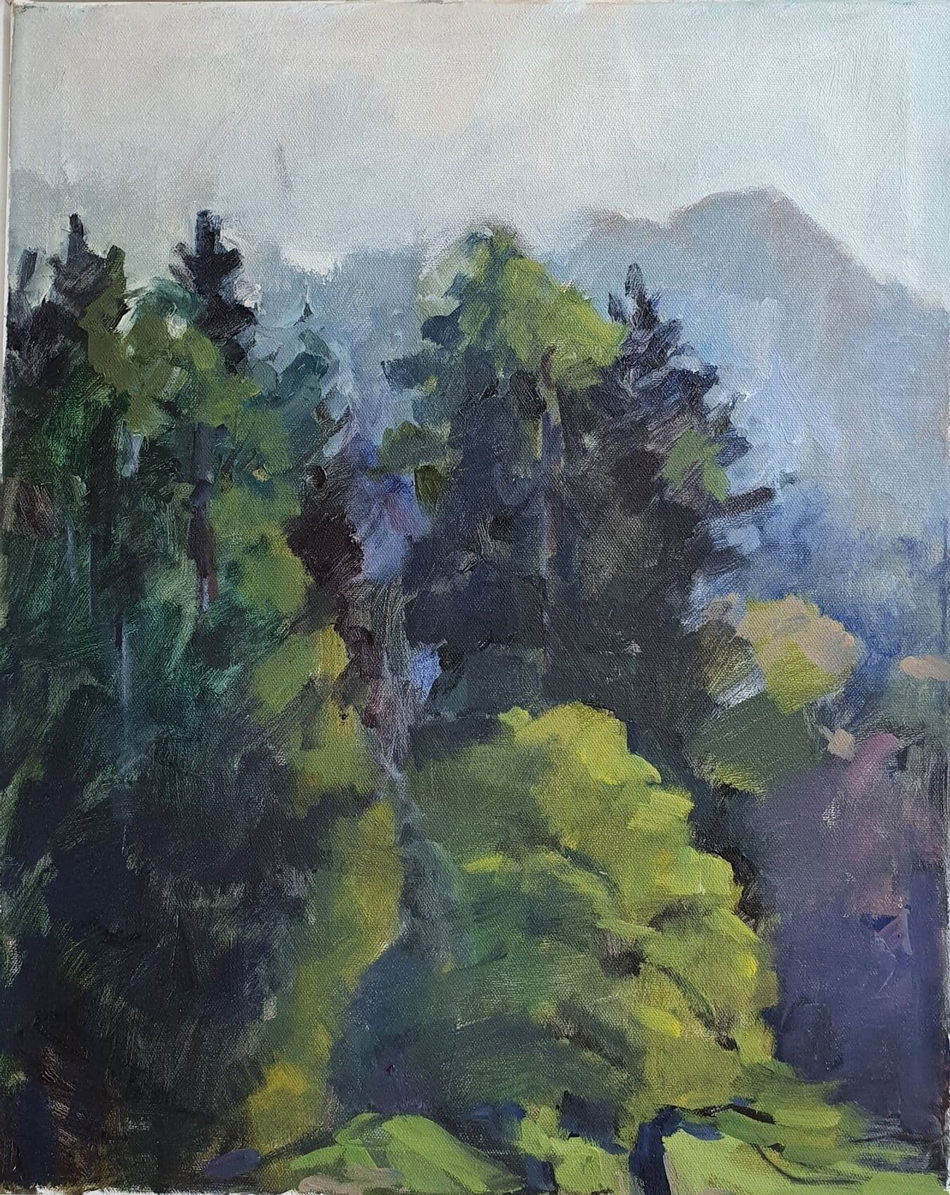"Berg im Nebel" Etüde