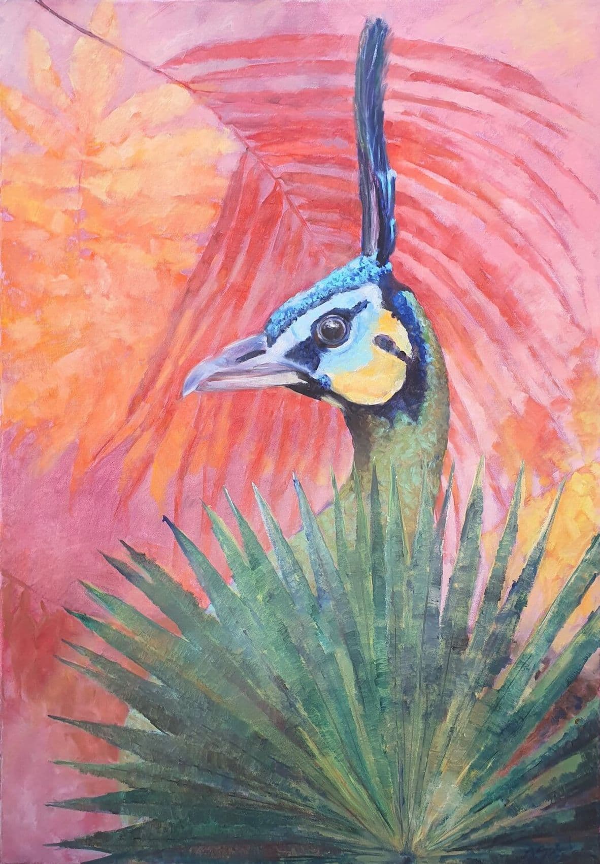 Pfau im Palmenfächer