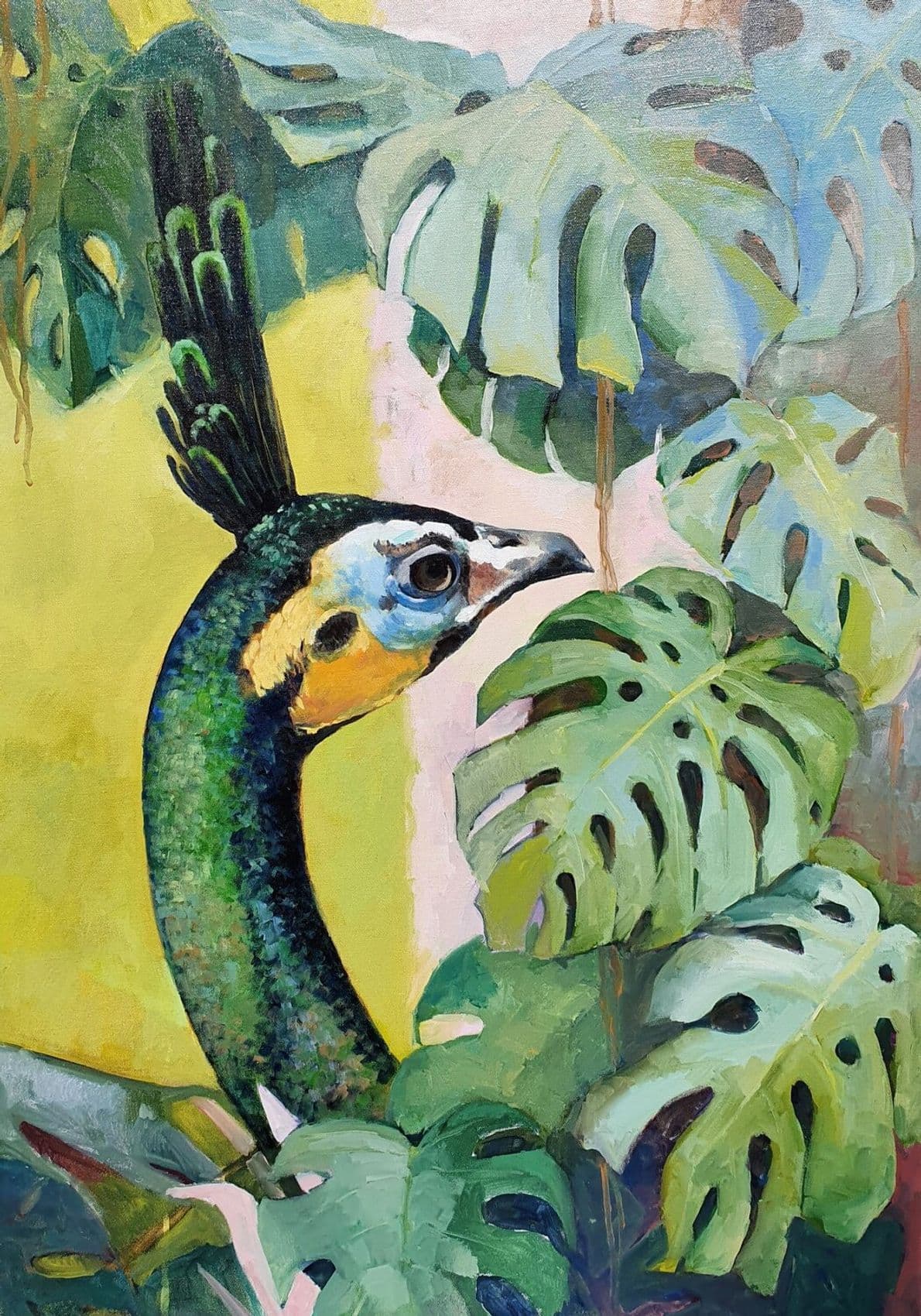 Pfau mit Monstera