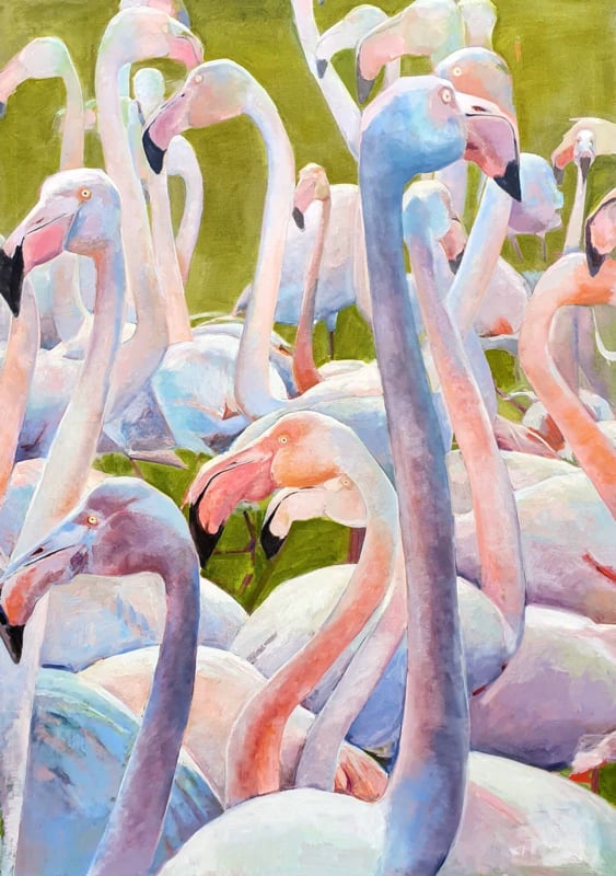 Flamingoschar