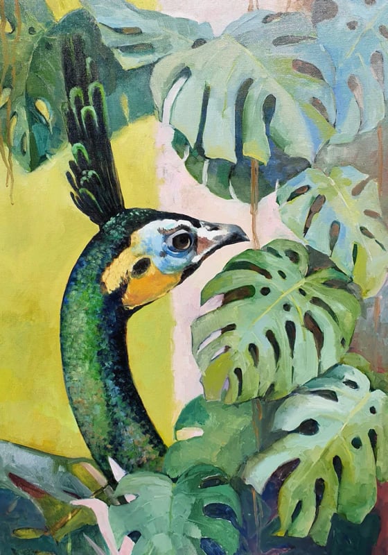 Pfau mit Monstera